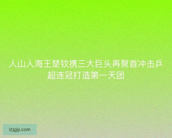 人山人海王楚钦携三大巨头再聚首冲击乒超连冠打造第一天团